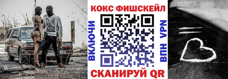 COCAIN Fish Scale  Купить  Тетюши 