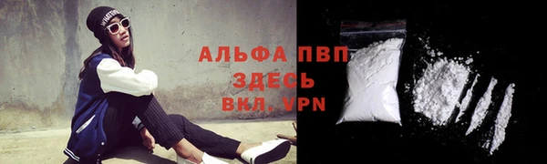 спиды Тутаев