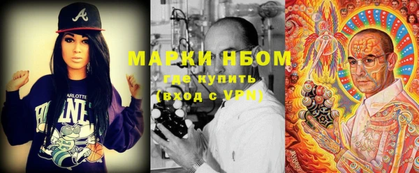 крисы Туринск